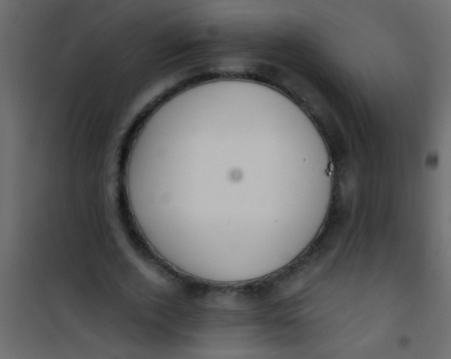 X0000101110728200807171936