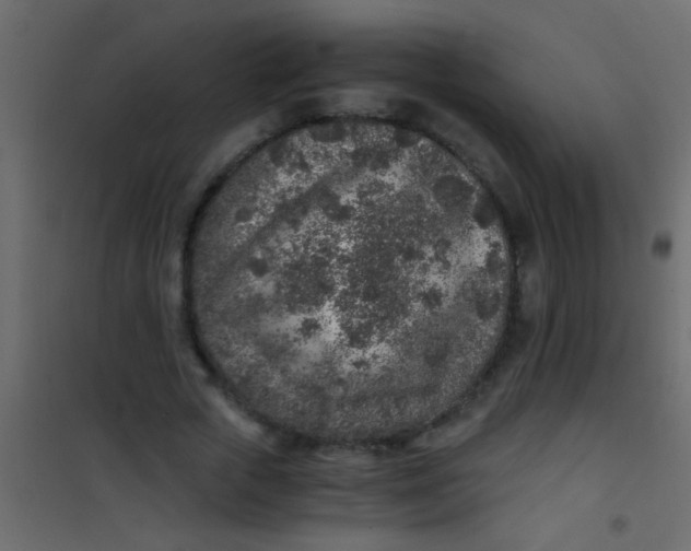 X0000101110729200807171936