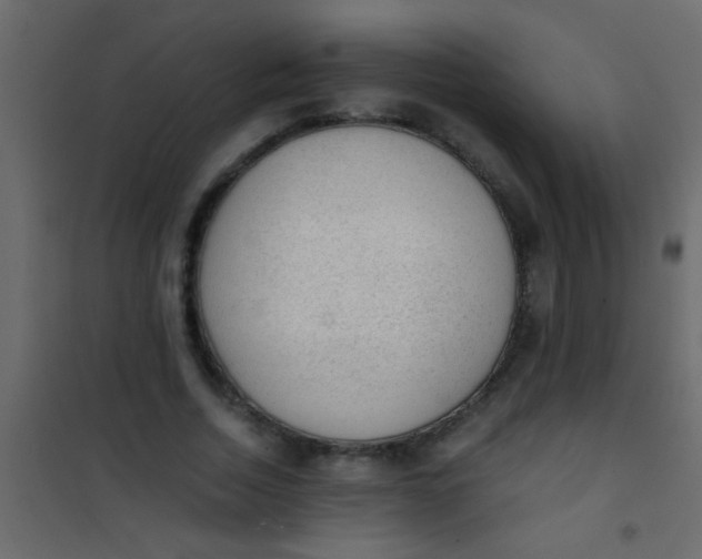 X0000101110730200807171936