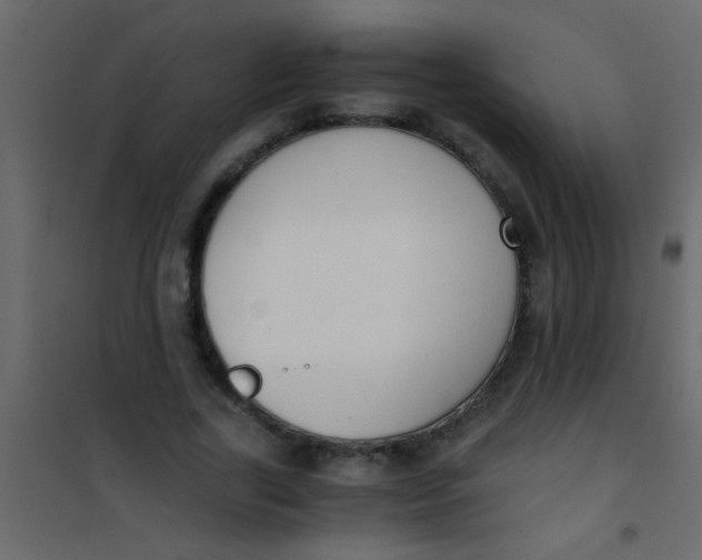 X0000101110731200807171936