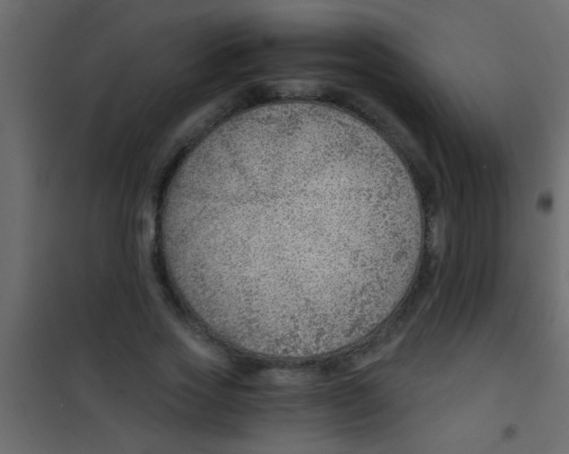 X0000101110733200807171936