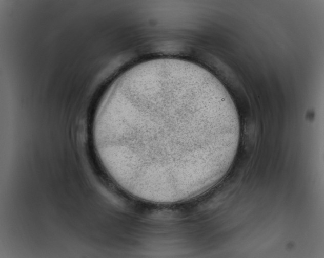 X0000101110734200807171936
