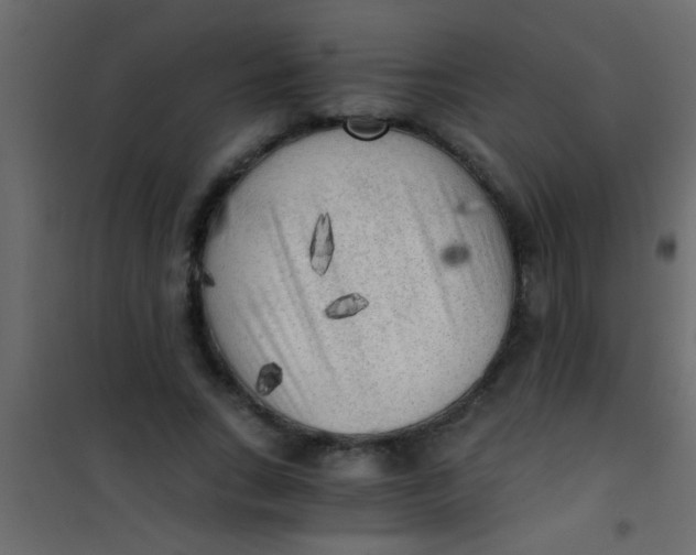 X0000101110735200807171936