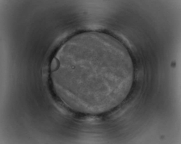 X0000101110736200807171936