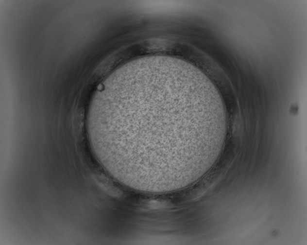 X0000101110737200807171936