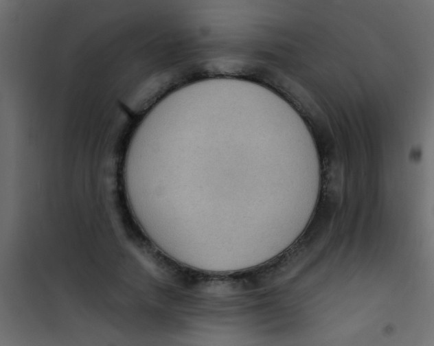 X0000101110738200807171936