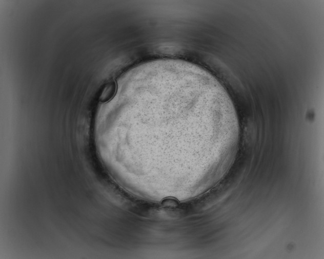 X0000101110739200807171936