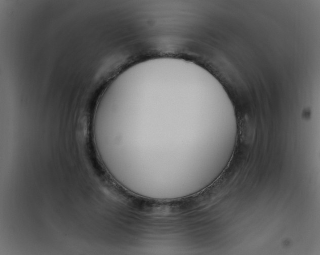 X0000101110740200807171936