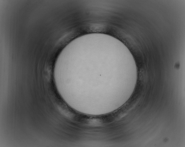 X0000101110741200807171936