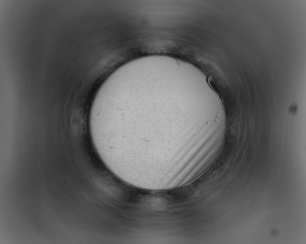 X0000101110743200807171936