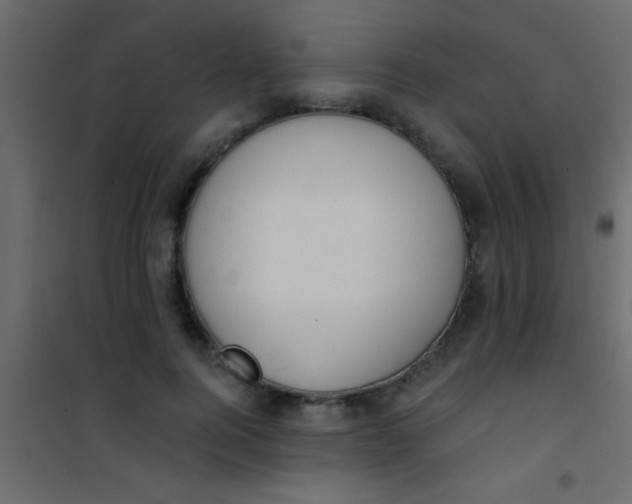 X0000101110744200807171936