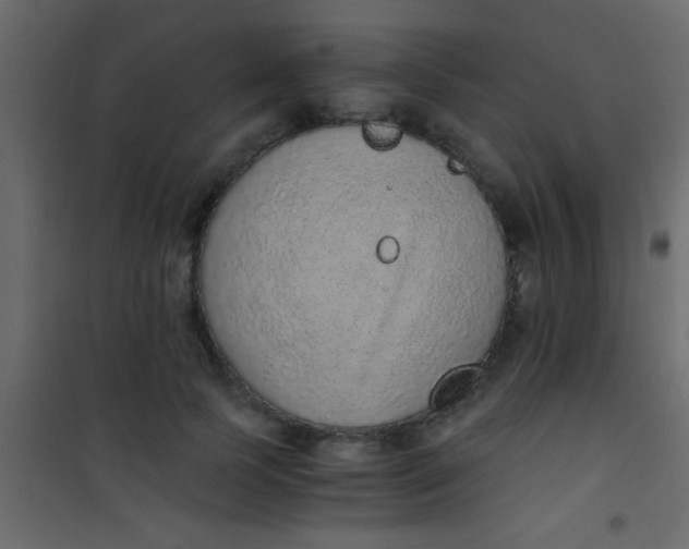 X0000101110745200807171936