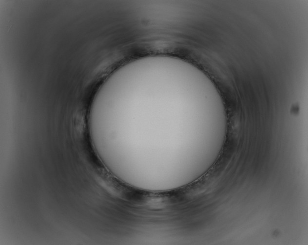X0000101110746200807171936