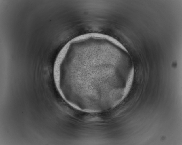X0000101110747200807171936