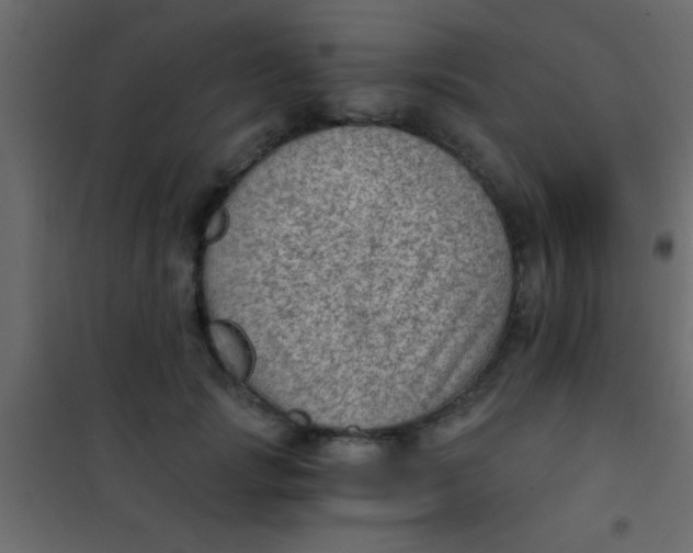 X0000101110749200807171936