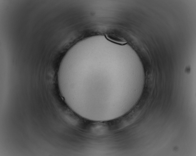 X0000101110750200807171936