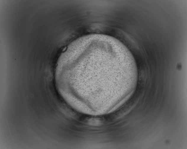X0000101110751200807171936