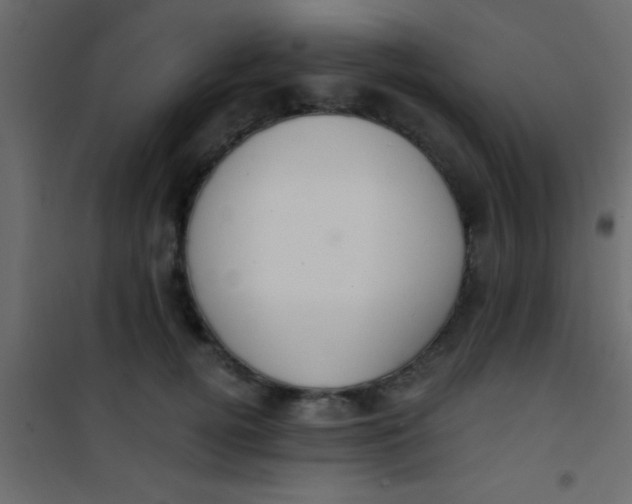 X0000101110752200807171936