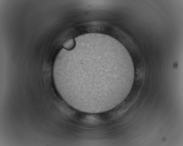 X0000101110753200807171936