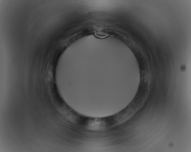 X0000101110754200807171936