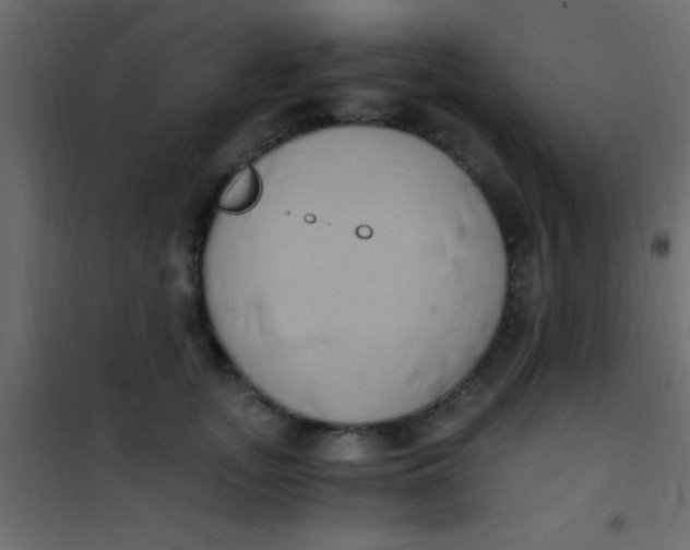 X0000101110755200807171936