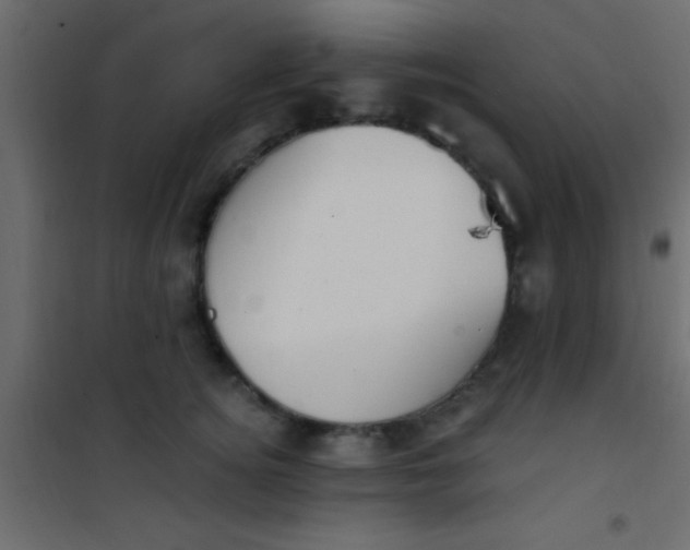 X0000101110756200807171936