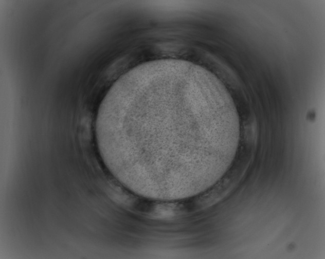 X0000101110757200807171936