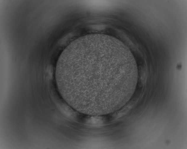 X0000101110758200807171936