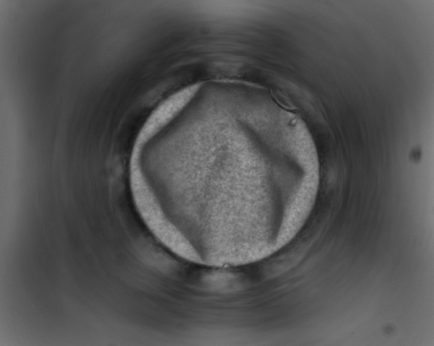 X0000101110759200807171936