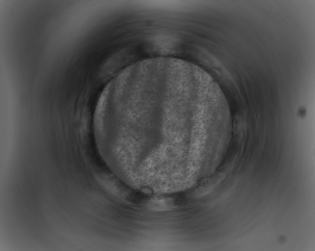 X0000101110760200807171936