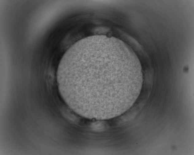 X0000101110761200807171936