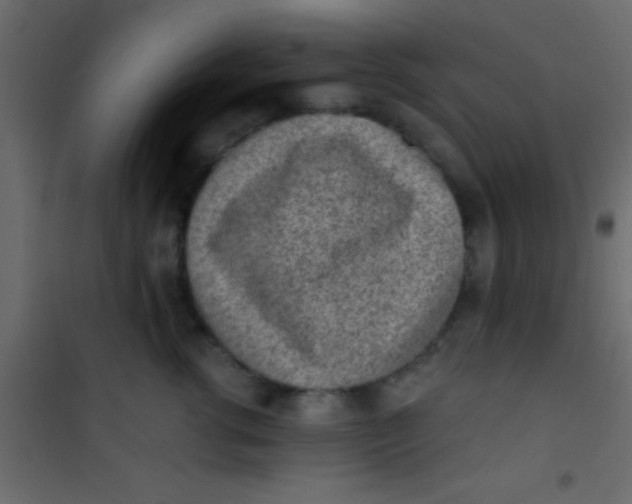 X0000101110762200807171936