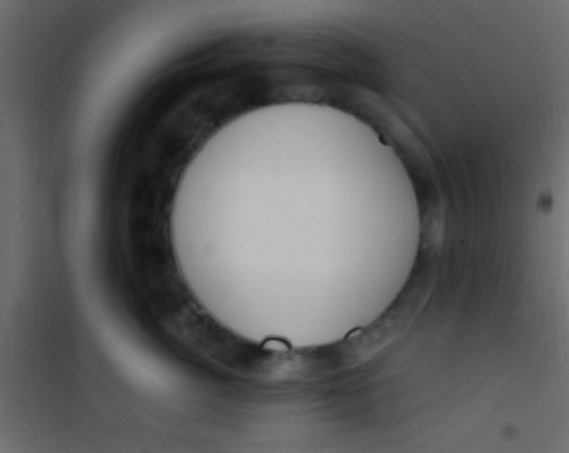 X0000101110764200807171936