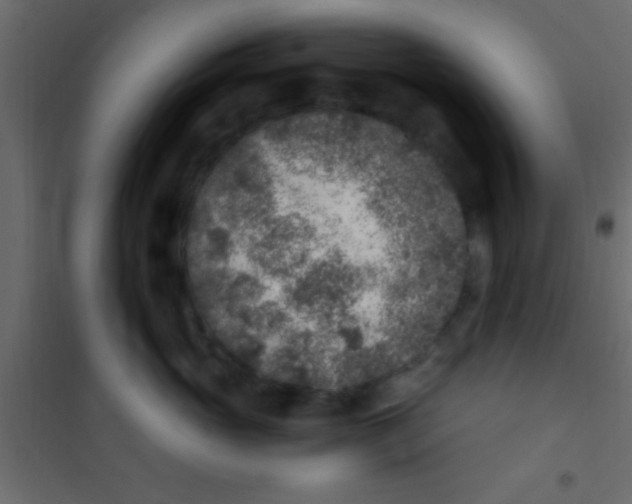 X0000101110765200807171936