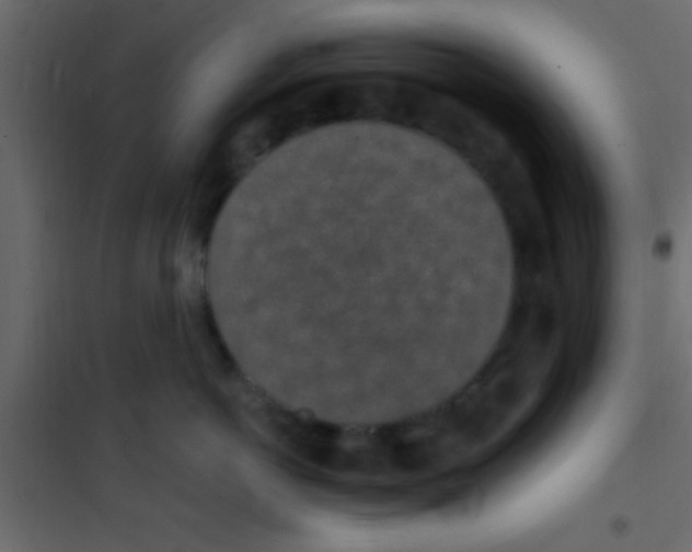 X0000101110766200807171936