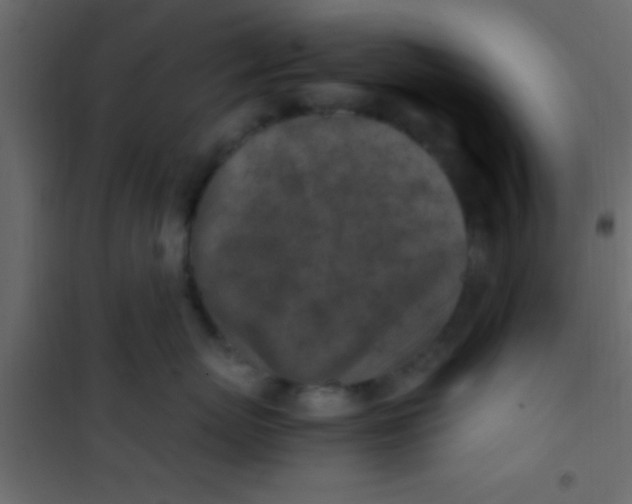 X0000101110767200807171936