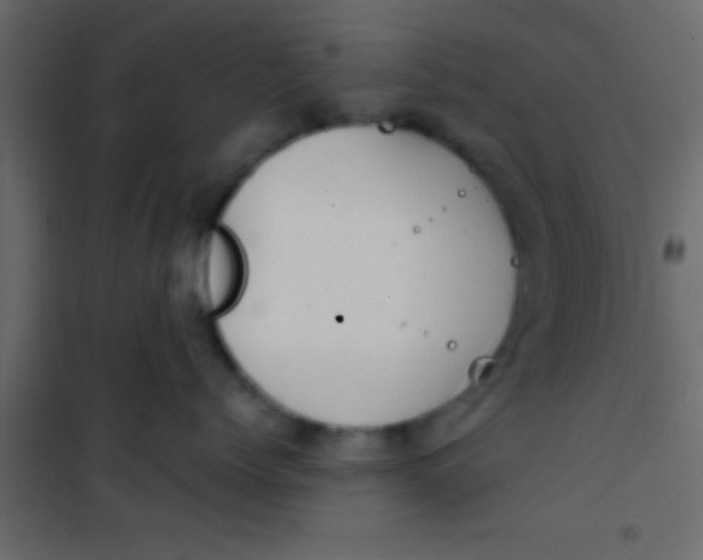 X0000101110768200807171936