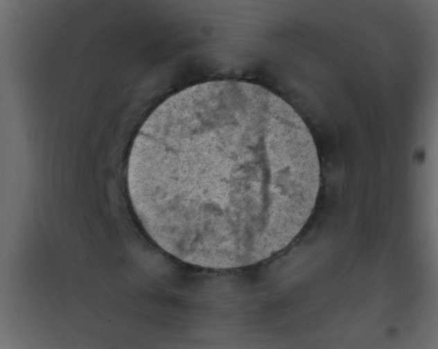 X0000101110769200807171936