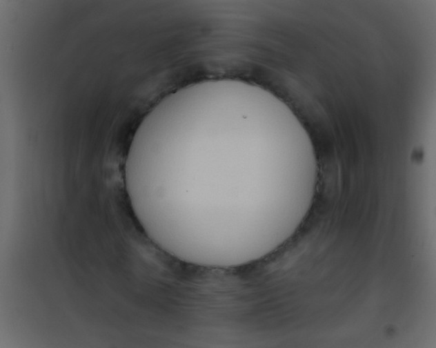 X0000101110770200807171936