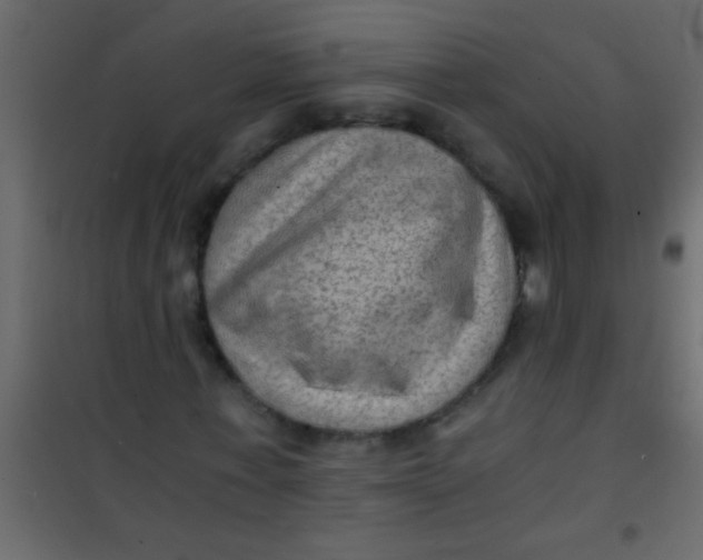 X0000101110771200807171936