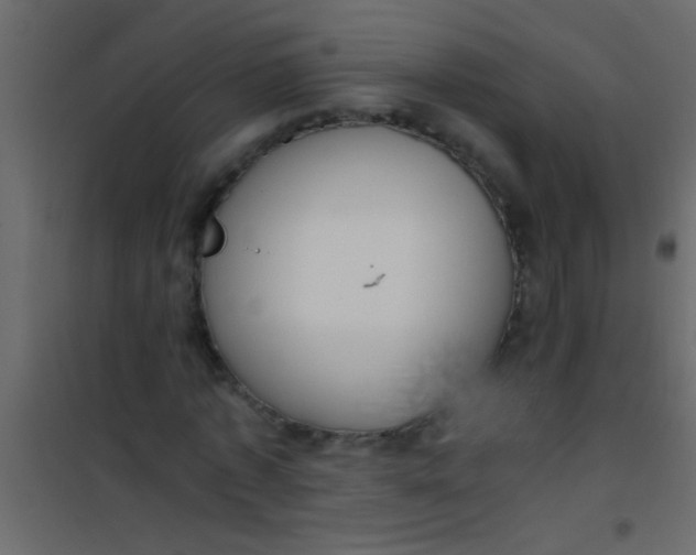 X0000101110773200807171936