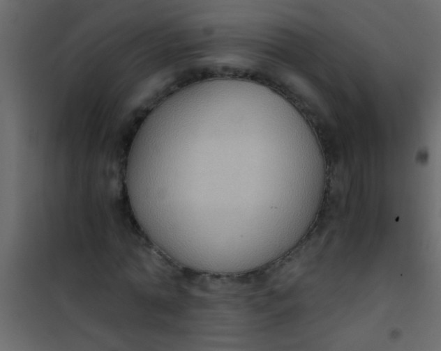 X0000101110774200807171936
