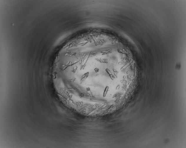 X0000101110775200807171935