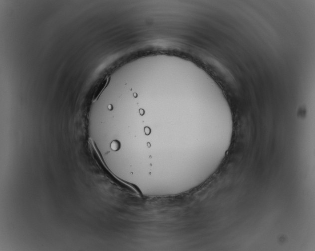 X0000101110776200807171935