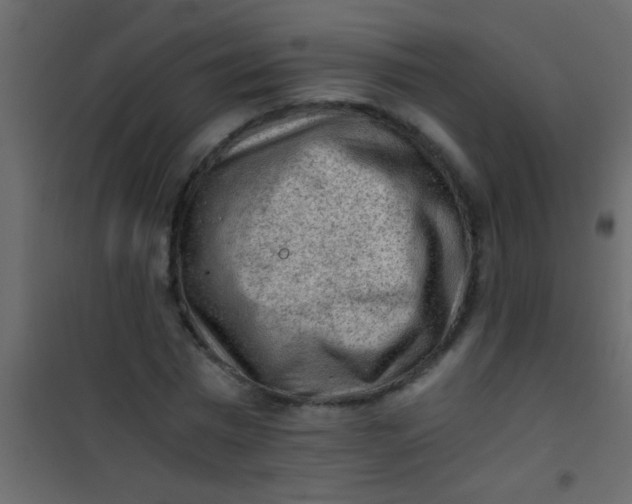 X0000101110777200807171935
