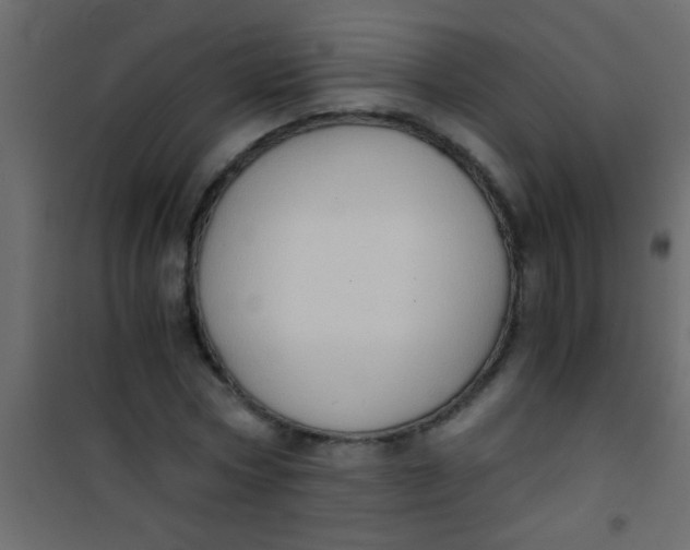 X0000101110778200807171935