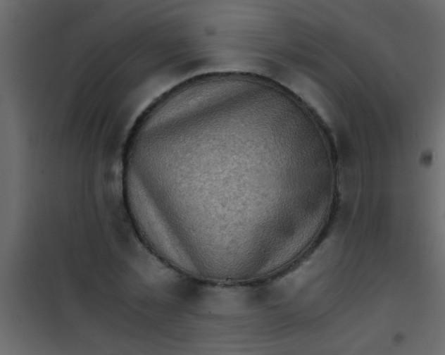 X0000101110781200807171935