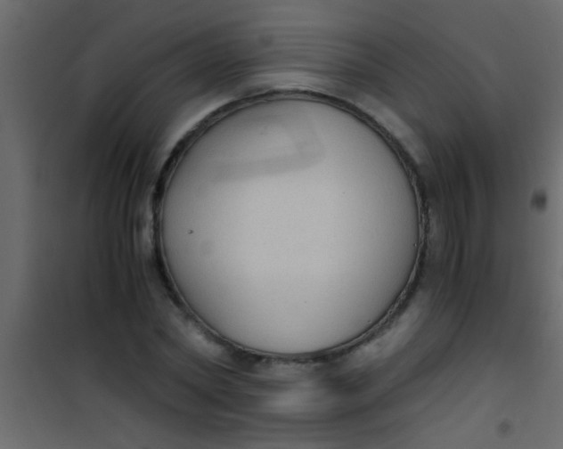 X0000101110782200807171935