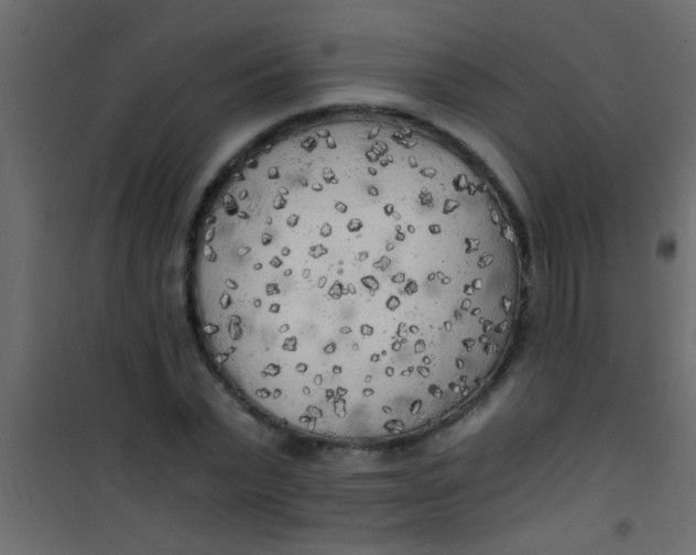 X0000101110783200807171935