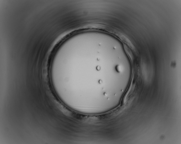 X0000101110784200807171935